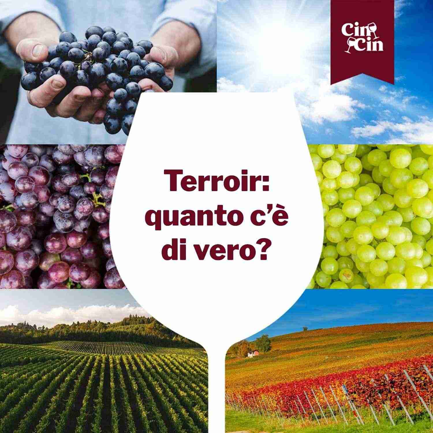 Terroir, quanto c'è di vero?